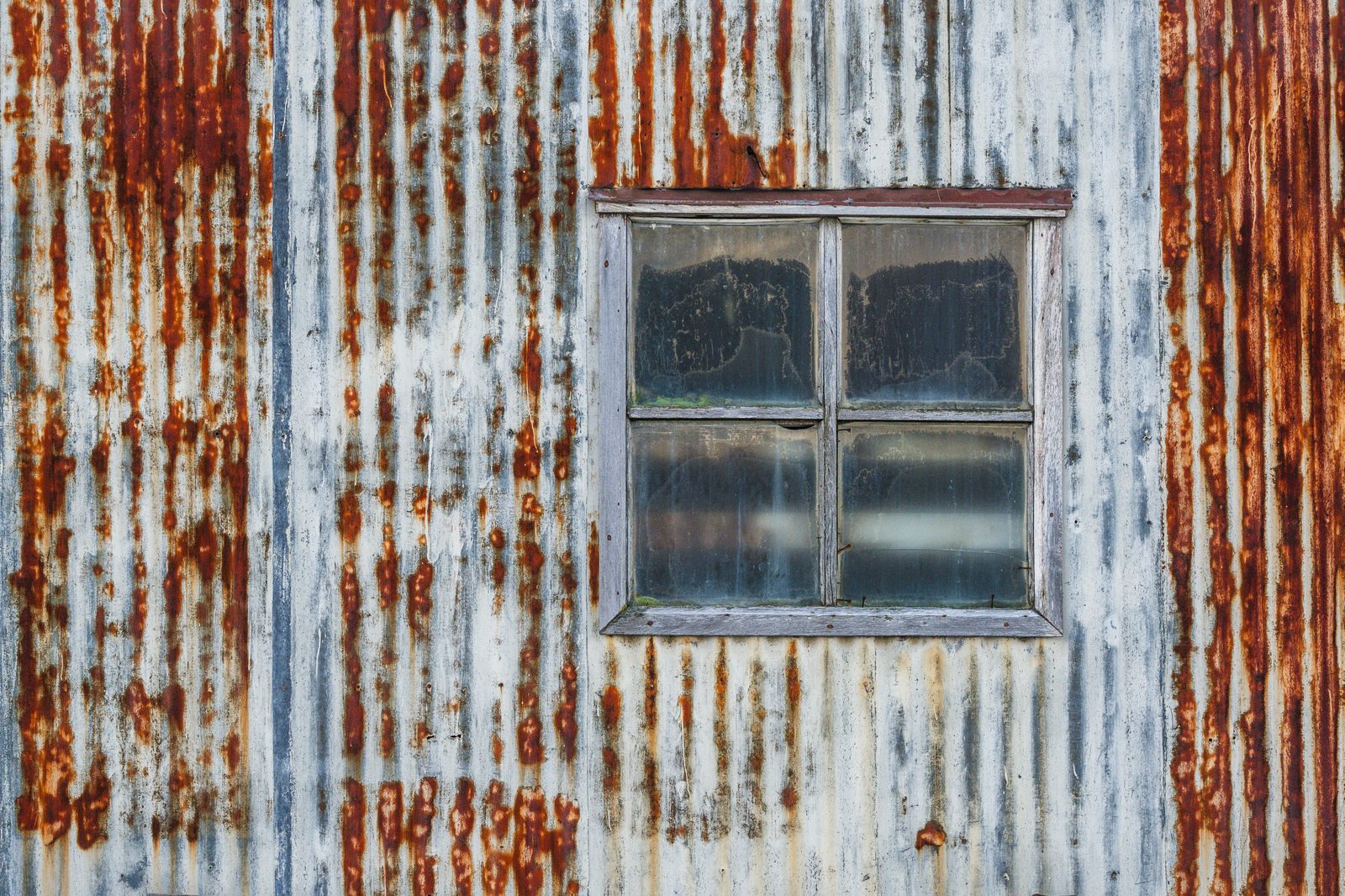 Around Puerto Natales in winter — 3