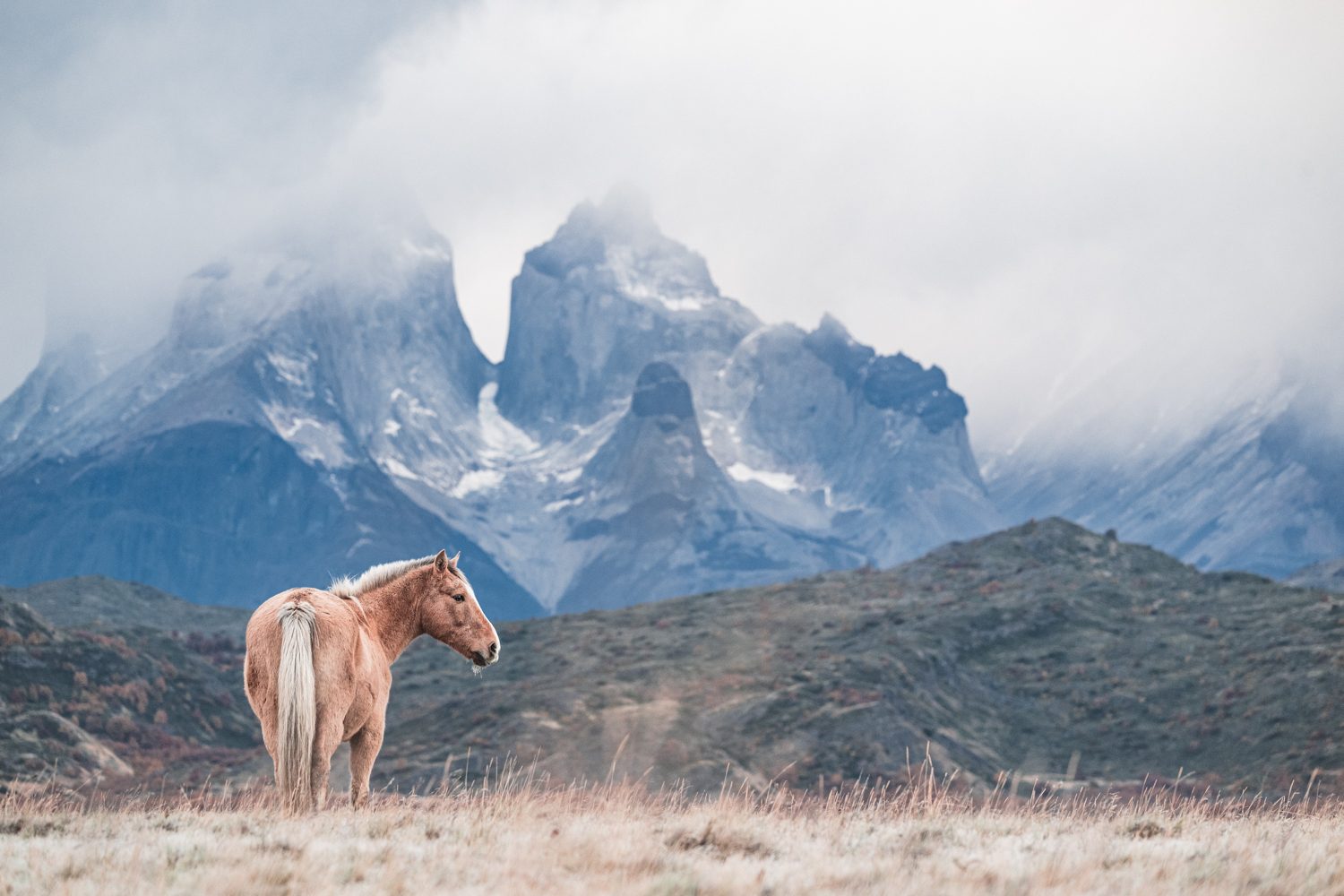 Torres del Paine in winter — 2